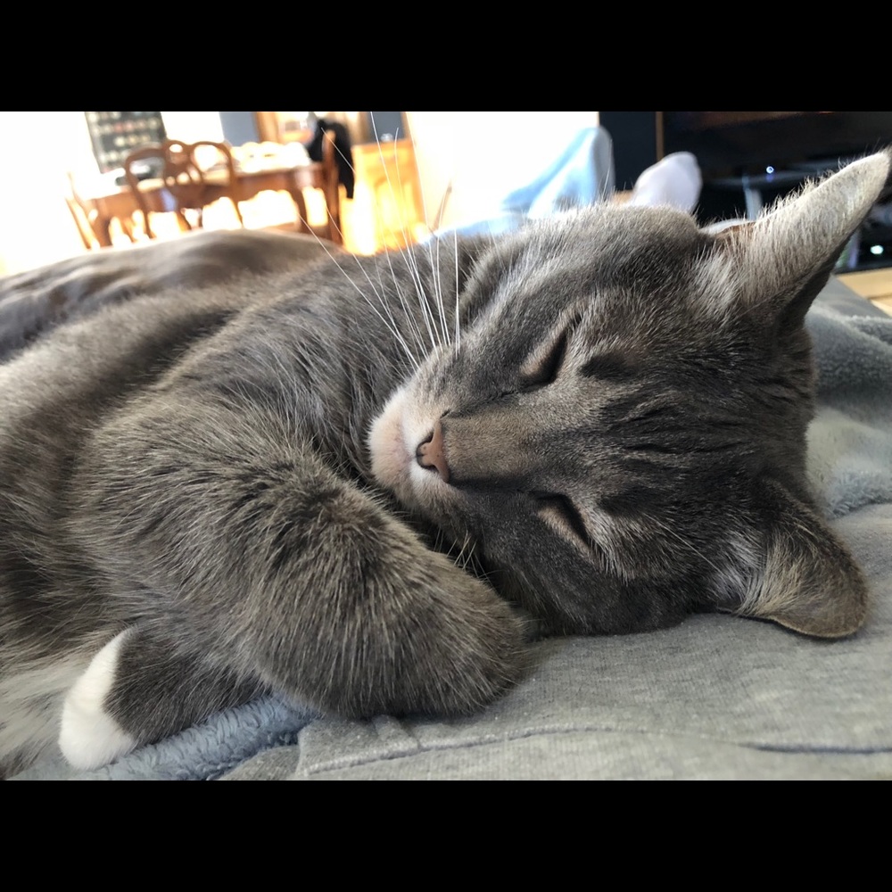 Meet your Posher, Caroline